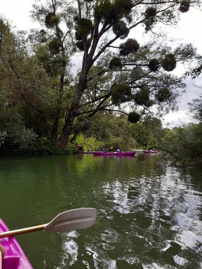 Chez Cadet Βίλα Larzicourt Εξωτερικό φωτογραφία